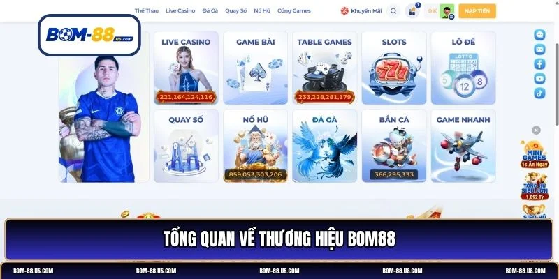 BOM88 lừa đảo hay không