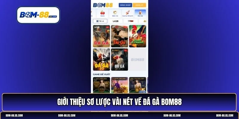 đá gà BOM88