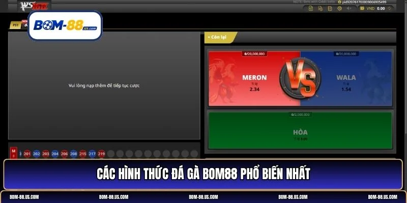 đá gà BOM88