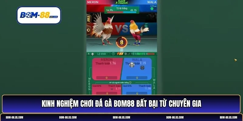 đá gà BOM88