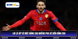 LW là gì